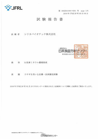試験報告書
